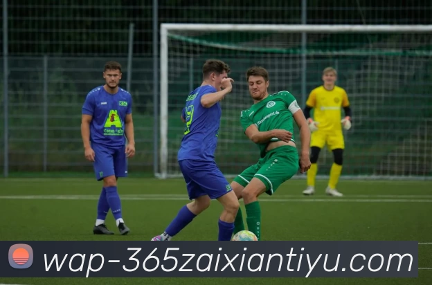 beat365平台生态图